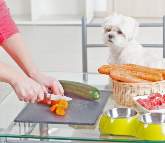 Homemade dog food recipes must include complete and balanced nutrition in order to be healthy.