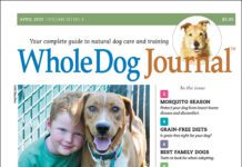 Download The Full April 2025 Issue PDF