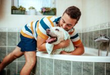 Medicated dog shampoos can cure a dog of skin infections and other conditions, but you should be aware of what is in them.