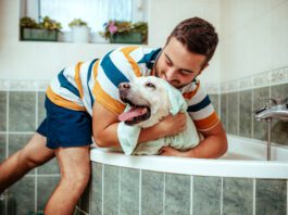 Medicated dog shampoos can cure a dog of skin infections and other conditions, but you should be aware of what is in them.