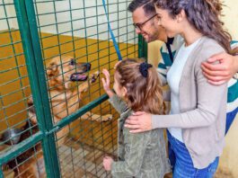 Adopting a shelter dog, a rescue dog, or another dog in need is a great way to make a friend for life.