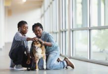 Questions to Ask When Adopting a Rescue Dog A meet and greet is an important part of meeting a rescue dog.