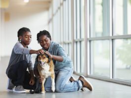 A meet and greet is an important part of meeting a rescue dog.