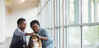 A meet and greet is an important part of meeting a rescue dog.
