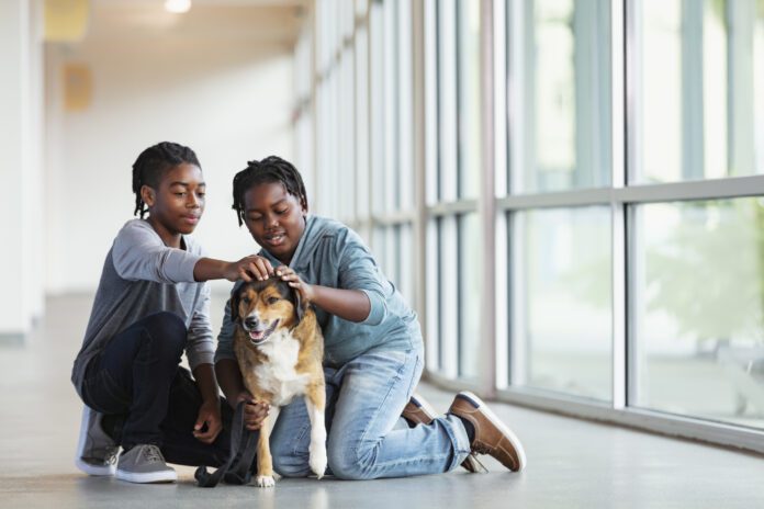 Two African-American boys petting dog A meet and greet is an important part of meeting a rescue dog.