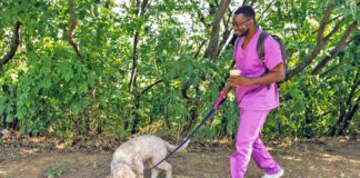 Knowing the signs of heart failure in dogs can lead to a better prognosis for an aging dog.