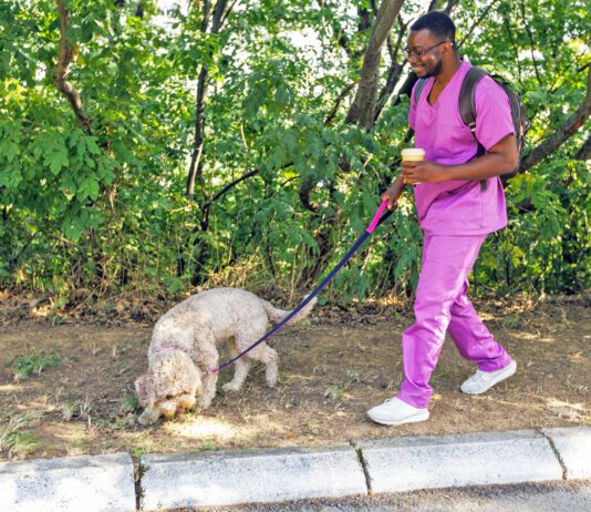 Knowing the signs of heart failure in dogs can lead to a better prognosis for an aging dog.