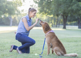 Training with treats is an effective means of positive reinforcement training so long the treats are not a bribe.