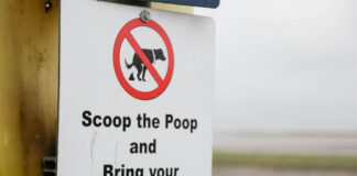 Doggy bags should never be put in a strangers trash can.