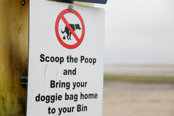 Clean after your dog sign Doggy bags should never be put in a strangers trash can.