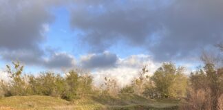 Nancy Kern is famous for telling dog owners their pup is overweight, but that doesn't mean her dogs are in peak physical condition either.