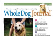 Download The Full May 2025 Issue PDF