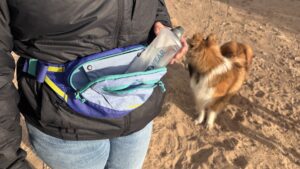 A small portable dog water bottle is a great pick for short hikes or runs.