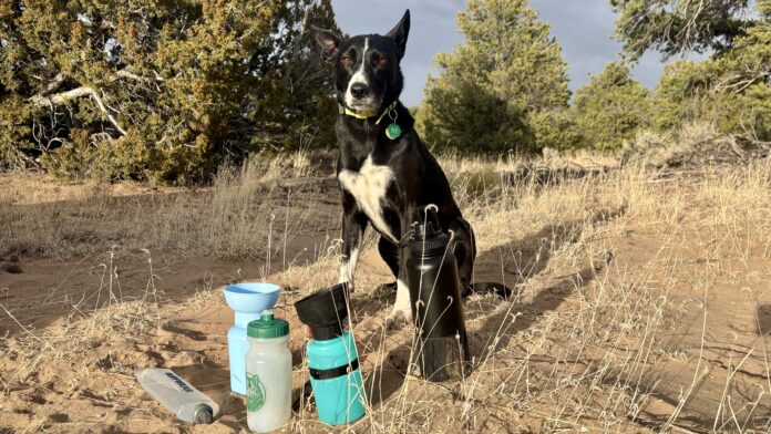 A dog water bottle helps keep your hiking buddy hydrated and healthy on long hikes.