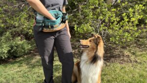 The mega hip back is the best dog treat pouch for hikers thanks to the extra space for additional water and gear.
