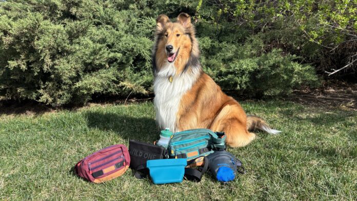 There are a variety of treat pouches available to dog owners. Which is the best dog treat pouch depends on whether you're hiking, walking, or training.