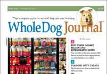 Download The Full June 2025 Issue PDF