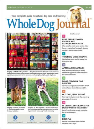 Whole Dog Journal Subscription (Gift)