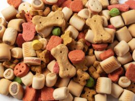 How Many Treats Can a Dog Have Per Day? Dog treats don't typically list calories so knowing how many dog treats per day can be challenging.