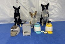 The best remote dog treat dispenser can play an important role in dog training.