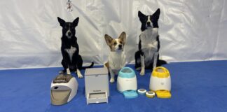 The best remote dog treat dispenser can play an important role in dog training.