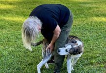 What behavior does your dog have that drives you slightly crazy?