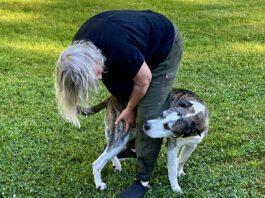 What behavior does your dog have that drives you slightly crazy?