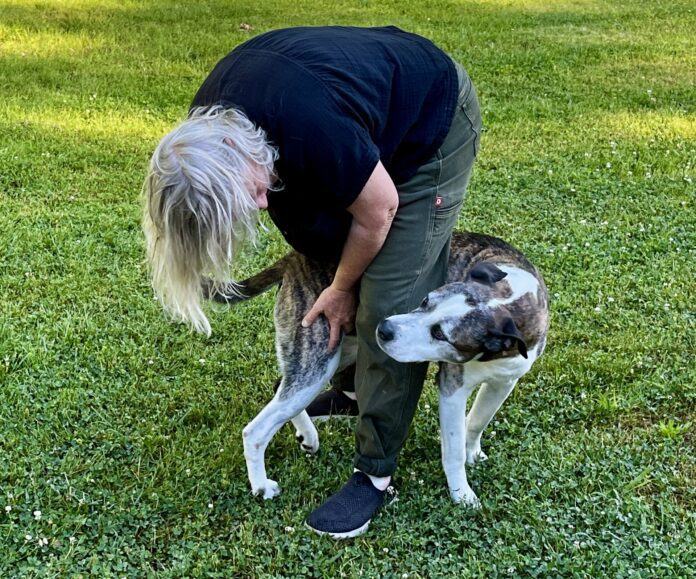 thumbnail_IMG_8829 What behavior does your dog have that drives you slightly crazy?