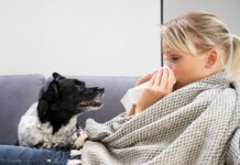 Humans can get sick from their dogs, and vice versa with a host of diseases being shared between the species.