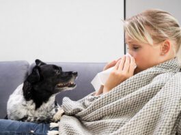 Humans can get sick from their dogs, and vice versa with a host of diseases being shared between the species.