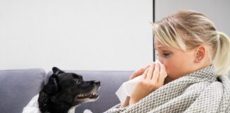 Humans can get sick from their dogs, and vice versa with a host of diseases being shared between the species.