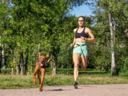 Running with your dog can be a great way to keep both of you in shape.