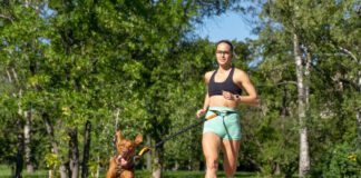 Running with your dog can be a great way to keep both of you in shape.