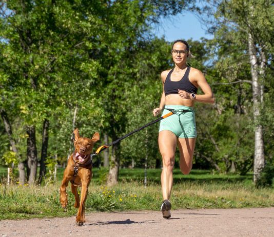 Running With Dogs Running with your dog can be a great way to keep both of you in shape.