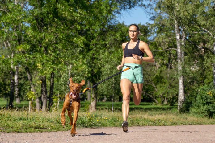 Running with your dog can be a great way to keep both of you in shape.