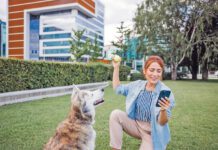 Free dog training apps offer ways for a new dog training to manage their dog's training.