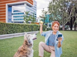 Best Choices in Free Dog Training Apps Free dog training apps offer ways for a new dog training to manage their dog's training.