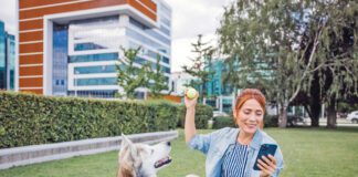 Free dog training apps offer ways for a new dog training to manage their dog's training.