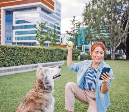 Free dog training apps offer ways for a new dog training to manage their dog's training.