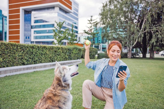 Playing with dog and investing online Free dog training apps offer ways for a new dog training to manage their dog's training.