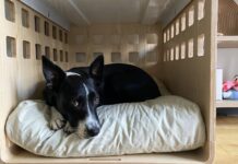 The fable dog bed is one of the best washable dog beds that fits in a crate.