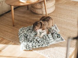 Catnip doesn't do much for most dogs. Rarely, a few dogs may experience a mild sedative effect.