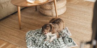 Catnip doesn't do much for most dogs. Rarely, a few dogs may experience a mild sedative effect.