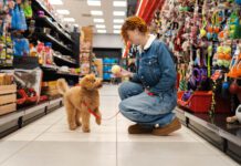 Dog essentials are the gear and products that make your dog's training and life easier and more complete.