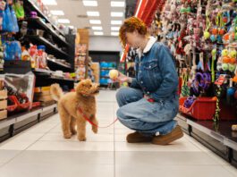 Essentials for Your Dog Dog essentials are the gear and products that make your dog's training and life easier and more complete.