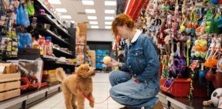 Dog essentials are the gear and products that make your dog's training and life easier and more complete.