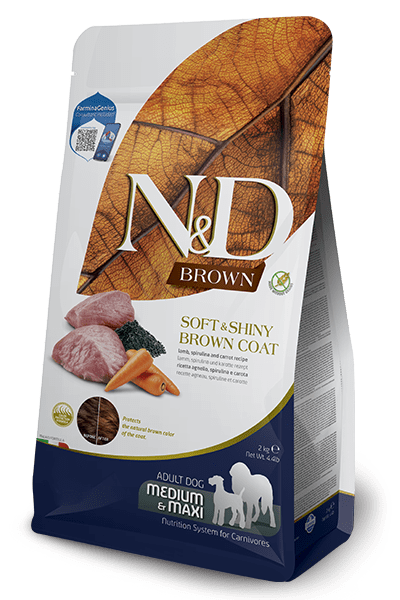 Farmina_brown-adult-medium-maxi