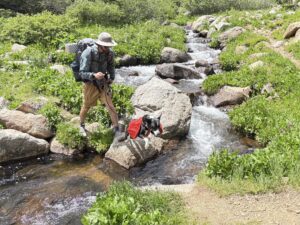 Longer trips may require a more customizable dog backpack with removable saddlebags.
