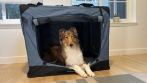 Fabric collapsible dog crates can provide a lightweight alternative for dogs that don't chew or try to escape.