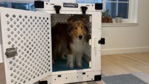 Plastic collapsible dog crates can provide a durable chew proof alternative to wire or fabric crates.